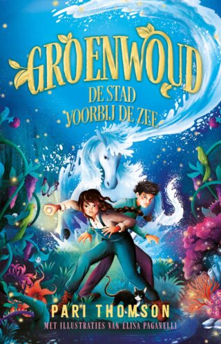 De stad voorbij de zee - cover