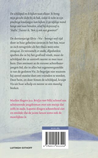 Schildpadmeisje - achterkant